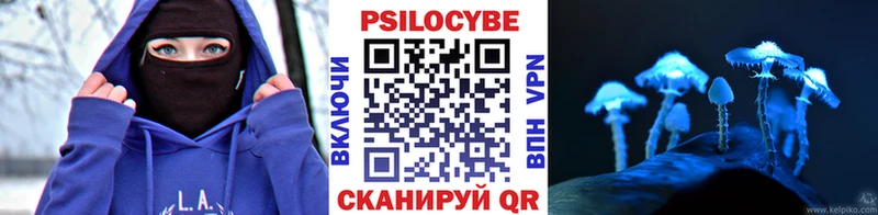 Псилоцибиновые грибы MAGIC MUSHROOMS  Пущино 